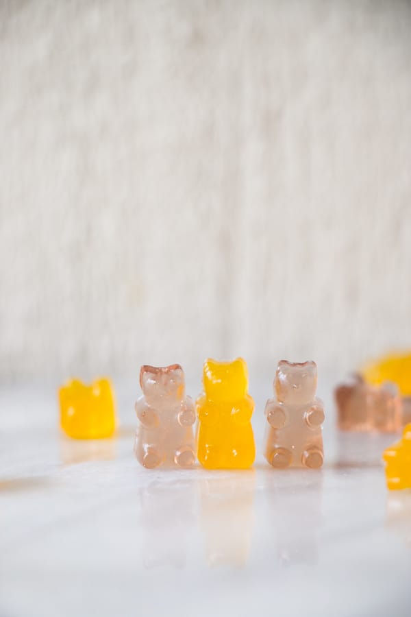 Homemade Gummy Bears 