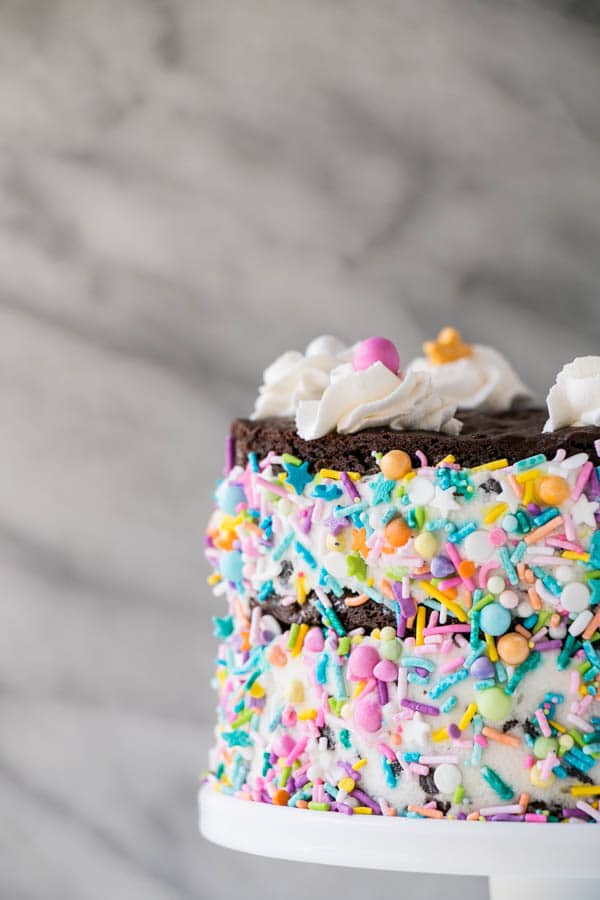 Ice Cream Sandwich Cake with thin brownie cookie layers and chocolate chip ice cream layers.