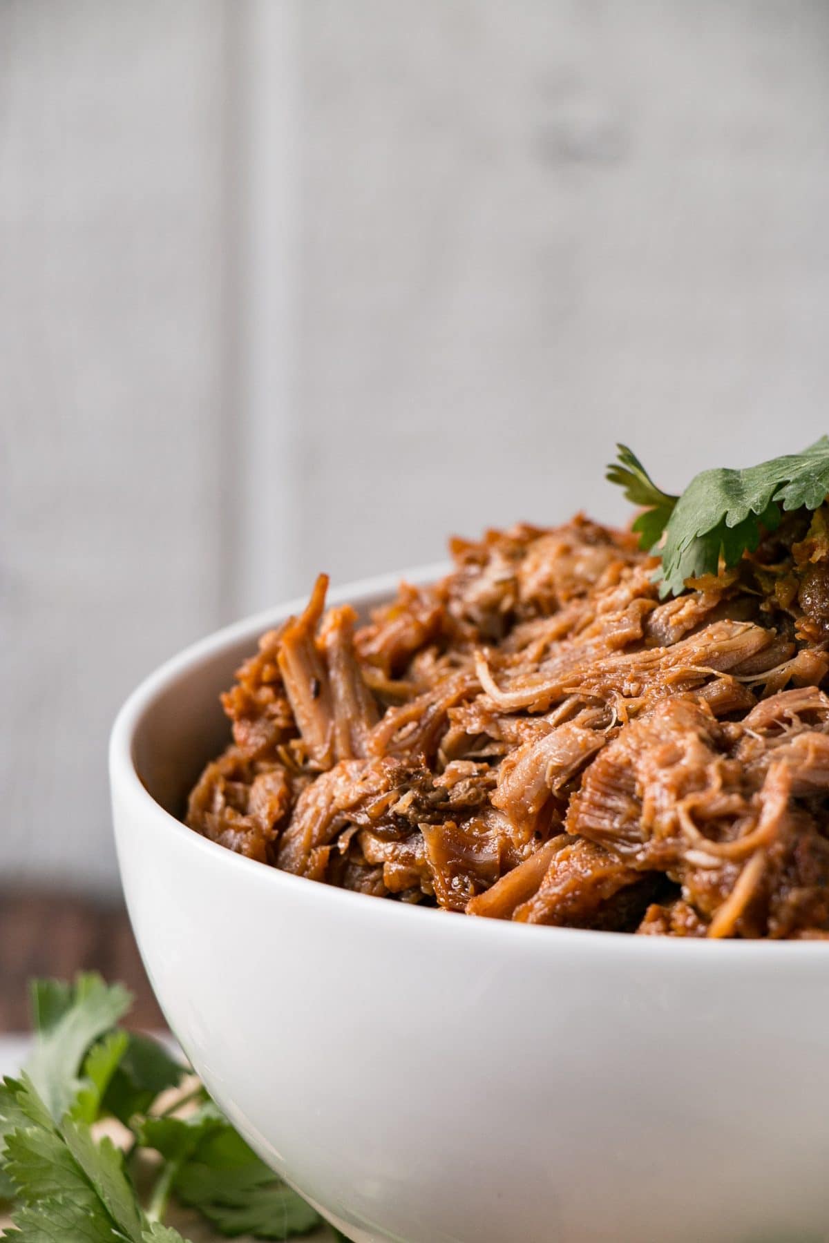 BEST BBQ Pulled Pork Instant Pot And Slow Cooker Instructions My