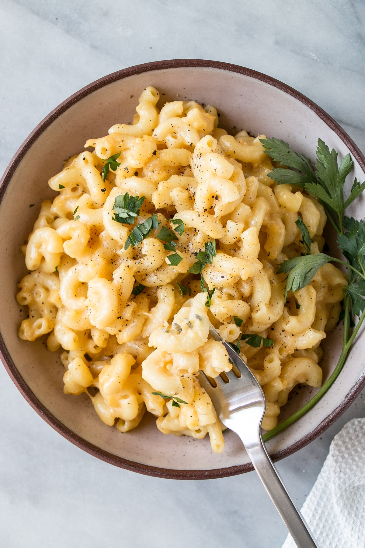 Instant Pot Mac and Cheese with Lentils