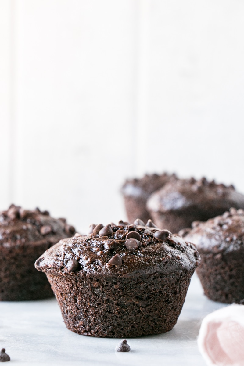 Chocolate Zucchini Muffins with a bright white backdrop.